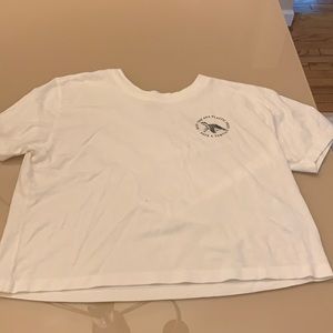 save the turtle shirt!